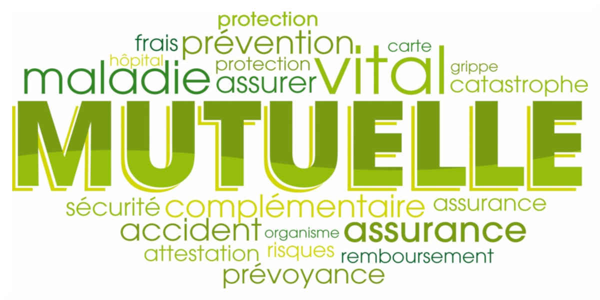 découvrez les mutuelles santé en accord avec la loi duplomb, offrant des garanties adaptées aux besoins de chacun. informez-vous sur les avantages, les démarches à suivre et les meilleurs contrats pour optimiser votre couverture santé.