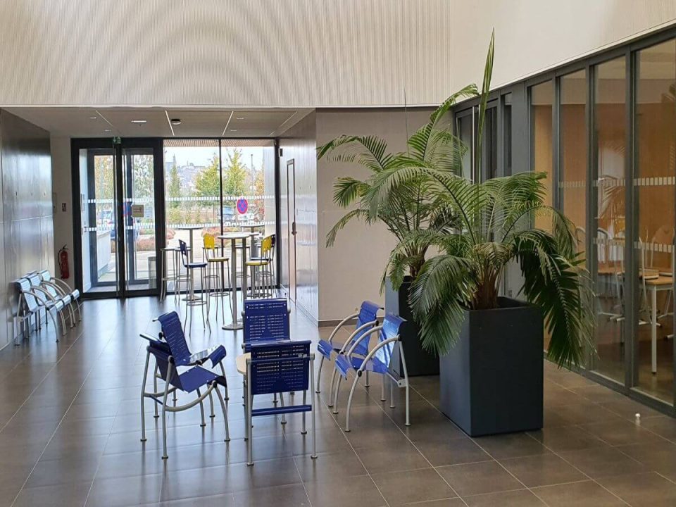 trouvez la meilleure assurance santé à fougères : comparez les offres, bénéficiez de garanties adaptées et profitez d’une couverture optimale pour vous et votre famille. devis personnalisé et conseils d’experts locaux.