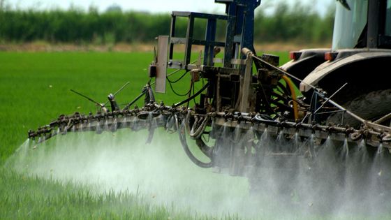 découvrez comment les mutuelles santé soutiennent les personnes exposées aux pesticides, offrant des garanties adaptées pour mieux protéger votre santé.